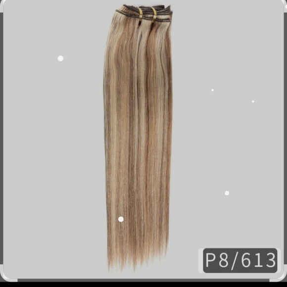 Remy Human Hair Other - Remy Human Hair 21" Clip In Blonde Highlights 8pc by Celebrity Strands